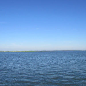 Meet your Posher, Edna